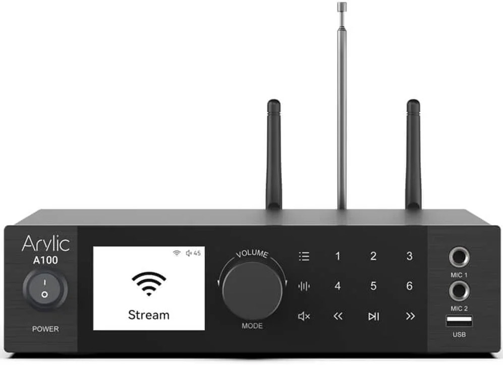 Arylic A100